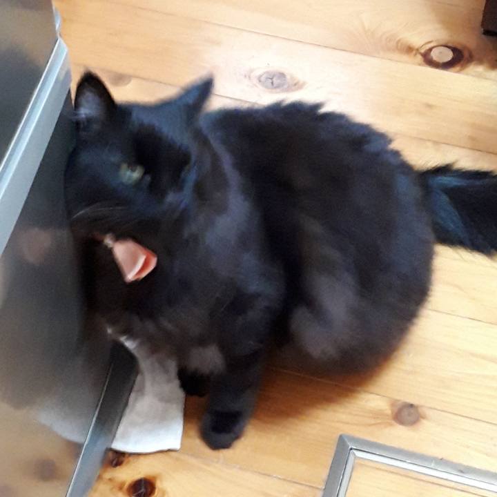 8049a0de b969 43d2 b1fe 79bf703a544a 1520321158874