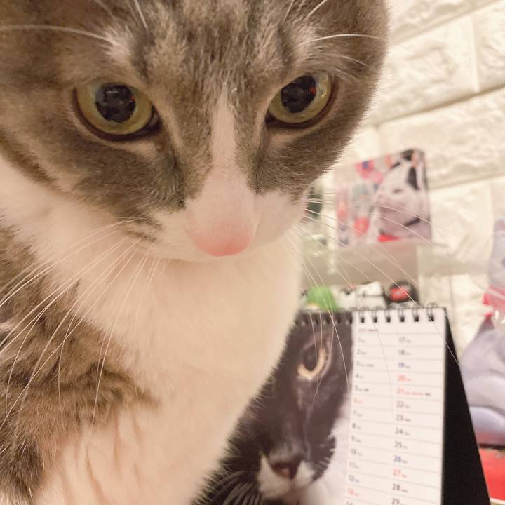 8049a1f5 fefe 4b0c 9cda 4342956bc277 1646560770741