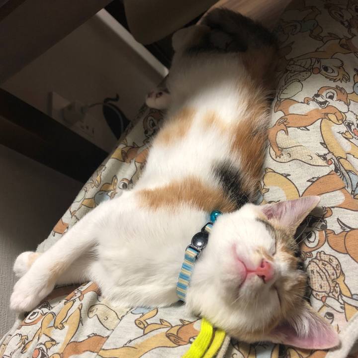 8049bc8f 166a 41de 9cc6 e17558922e9b 1564063156258