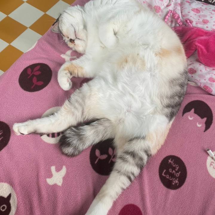 8049da48 b402 4cf7 9f3a 93c42eaafcd5 1681940808018