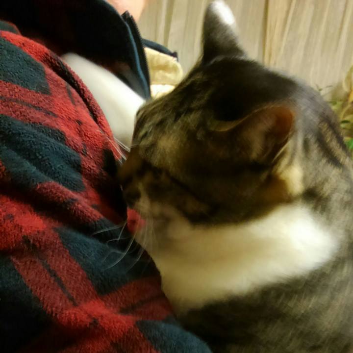 804a2c4c c2c0 4aef a408 9fc507a737d6 1517097752793