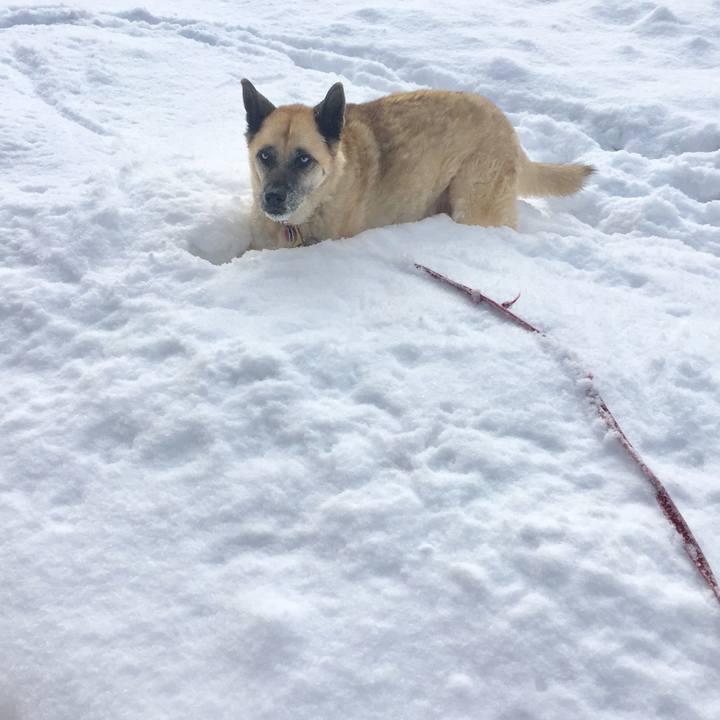 804a37b4 6af3 4a97 ae37 16b8c42b4724 1550802358557