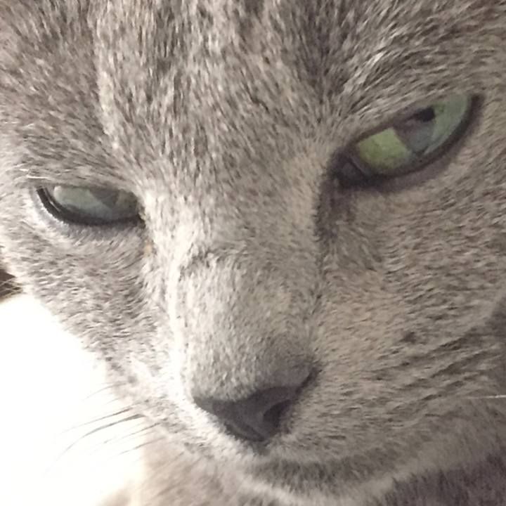 804a50ba 37df 4005 9220 ebabe5485ce5 1560381309349