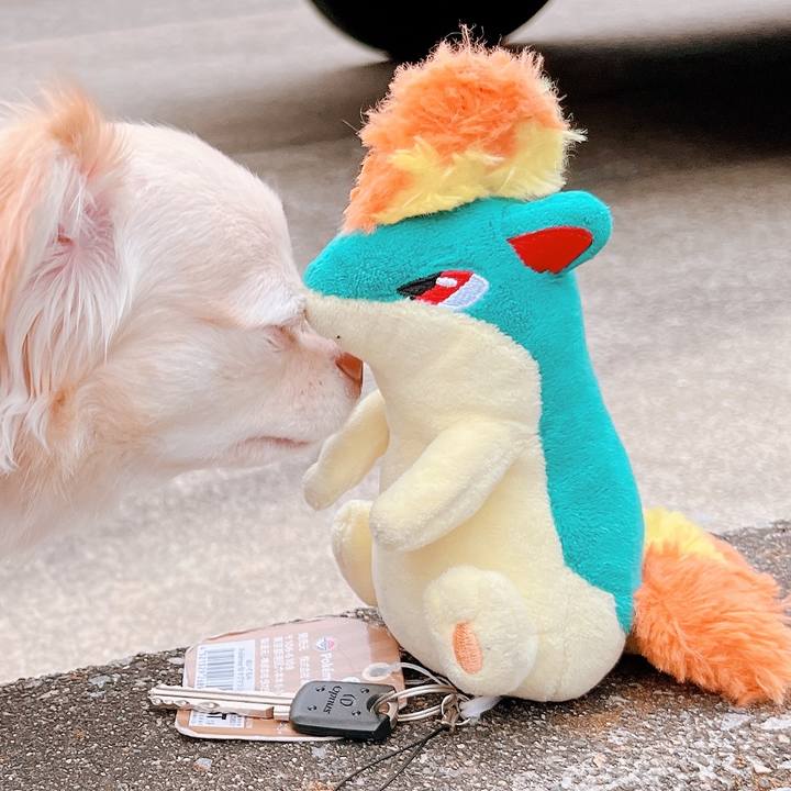 804a6d0c 2995 4386 9567 7ba3f722f1a9 1656850279741