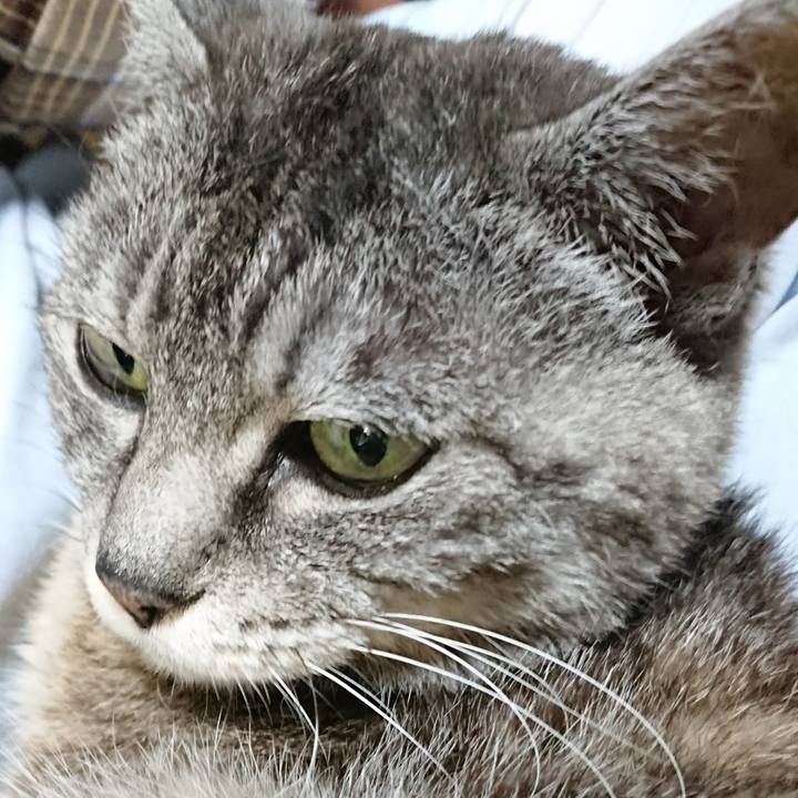 804a6ed7 663a 4dd5 ac1b a84665855ab2 1568202109862