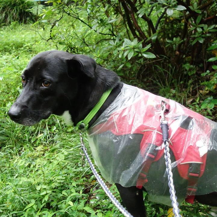 804a7d09 9e5b 45fd 8b3d 56850636d877 1625787831463