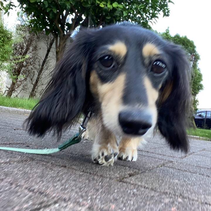 804aac29 6da5 4d04 9ac6 3c1953bc0fb4 1726123487330