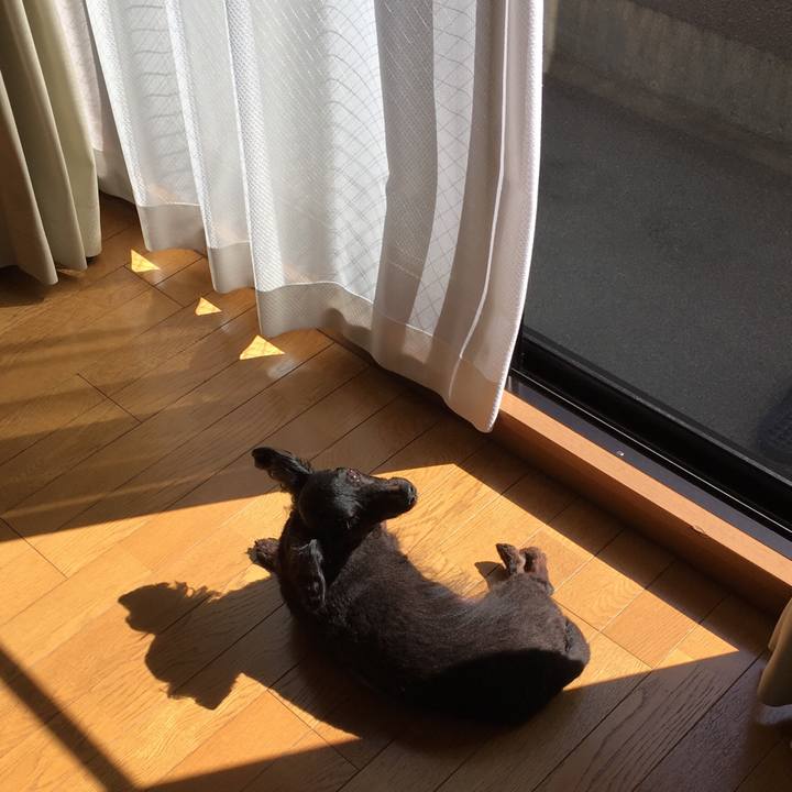 804b0267 5013 44e7 89c7 a947e0fa0550 1529105758321