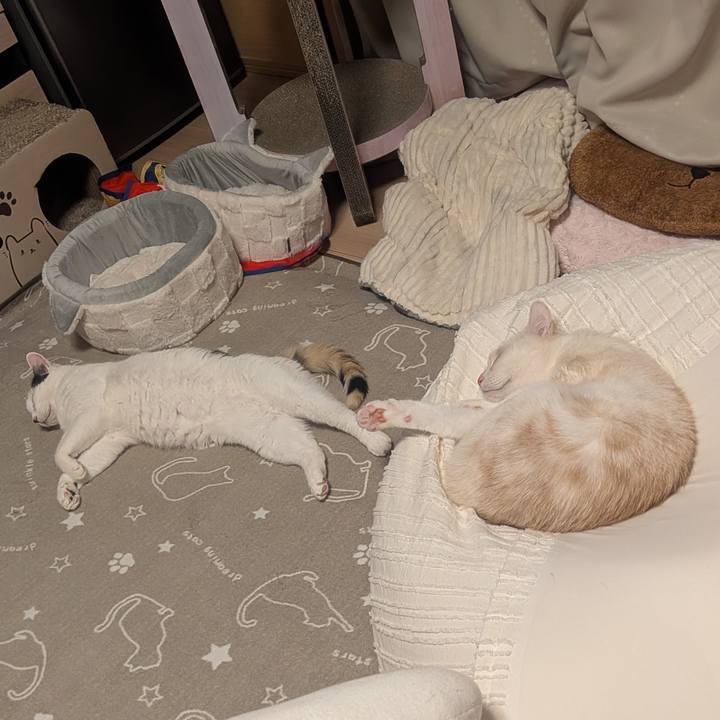 804b0fd9 e1ae 483c 9d1c d24154d239e8 1767352524124