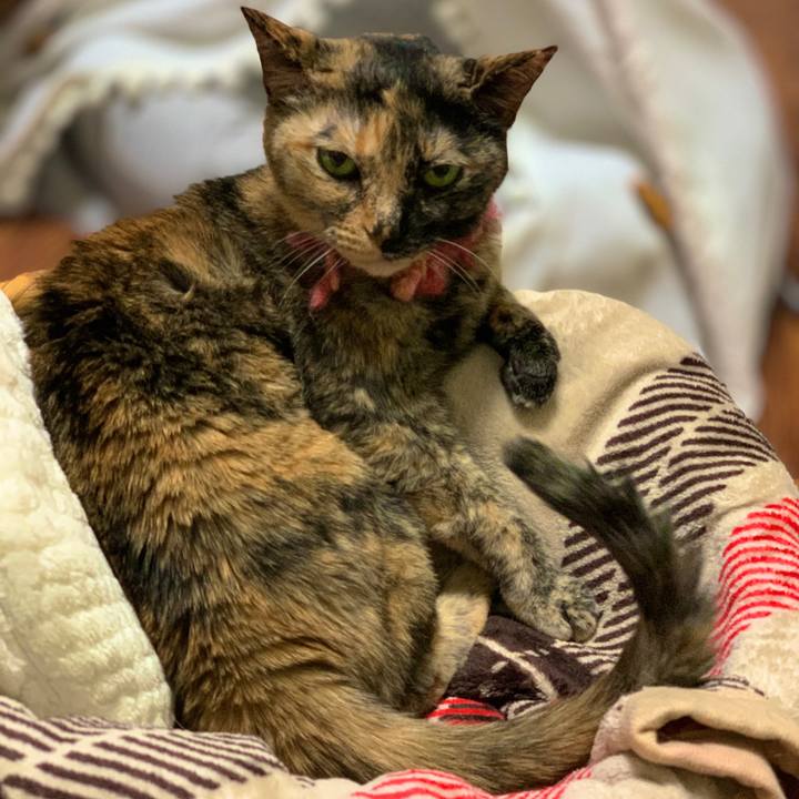 804b66d0 2b99 489f a5d6 7d77d9f9444d 1611230496428