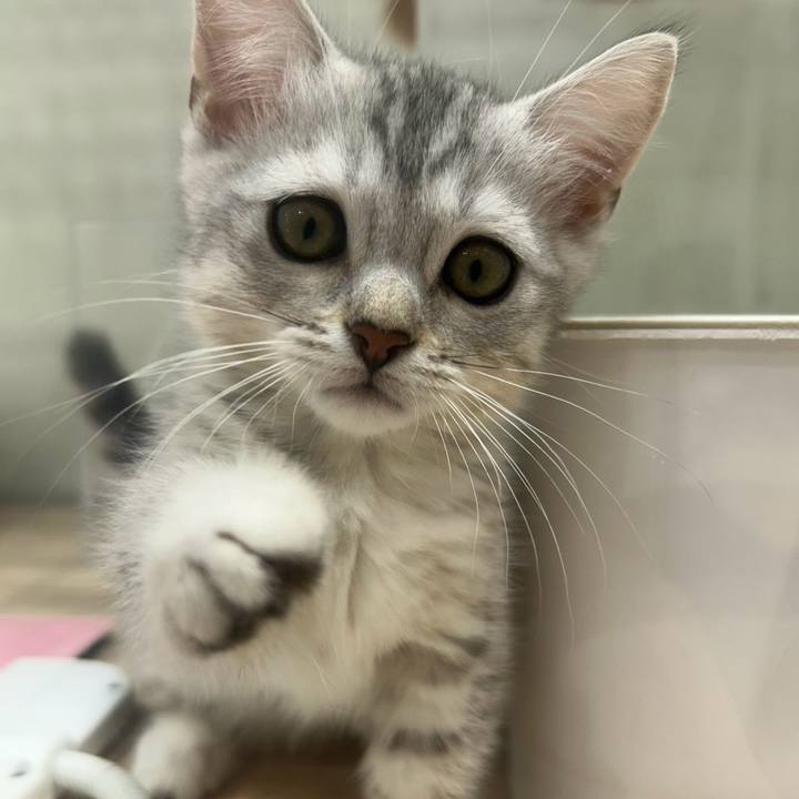 804b8b1b 2142 49c9 b0f1 48a3d2ff18f7 1744179206644