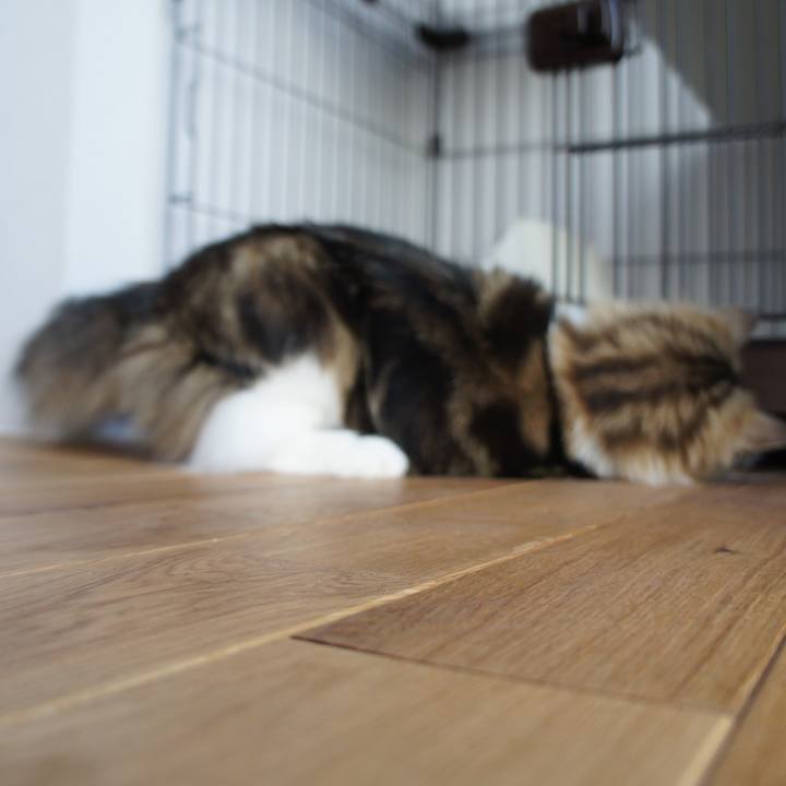 804bcc2b bb17 45de 91ec 0f2c2aff93fe 1517443839238