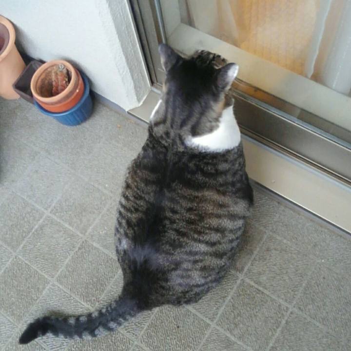 804be6da ffb6 45f5 9f08 a1e3573df345 1508570727674