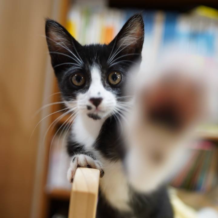 804bf582 178d 45b0 804e 3d4ba578aaa6 1568298549572