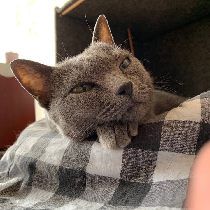 804bf9e1 1c5c 40c8 87a0 edf936d2cdef 1566005716496