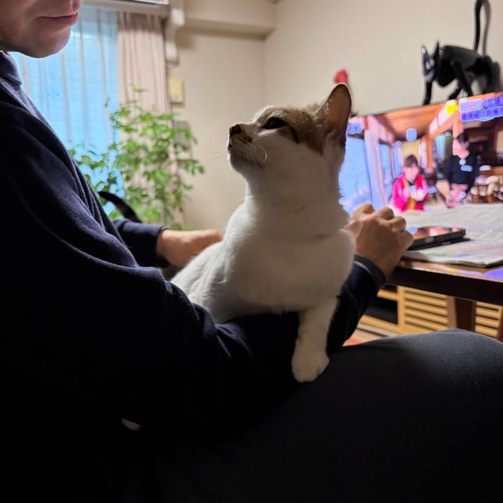 804c1a0e 98ae 4b1e 804e a287e7df547b 1773531775090