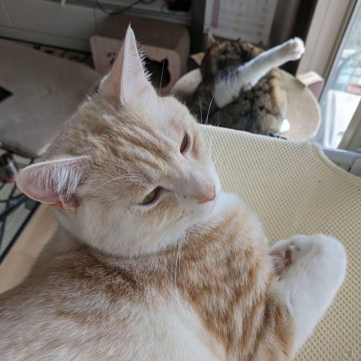 804c2184 d0fb 4609 8188 cee18dfb352e 1687576059549