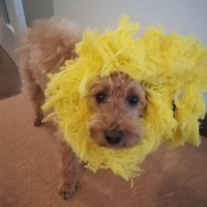 804c233c 6afb 4726 bc8b 40196e6088c3 1567035638942