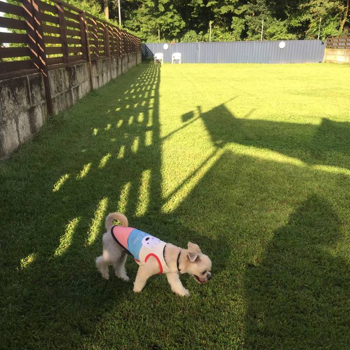 804c5242 95d8 4d01 8a24 3dc82253c624 1537601893890