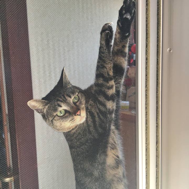 804c681f 1f67 442b 8bcf 8af1a6c2f479 1522030741711