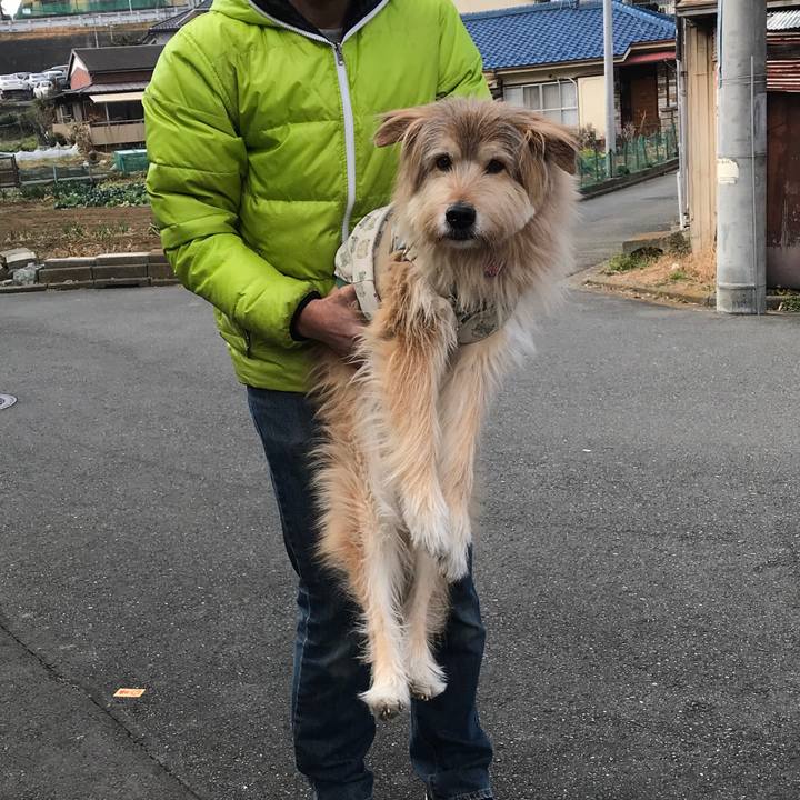 804c80e4 b57a 41d8 bc57 94bb7c52c903 1547964755170