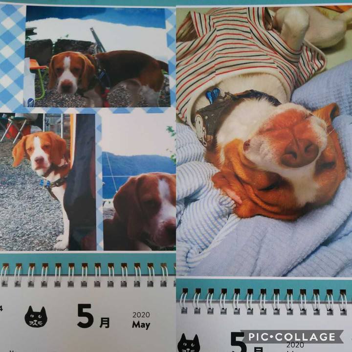 804c8c60 3a24 4c01 98b2 f452e637f83a 1588383833775