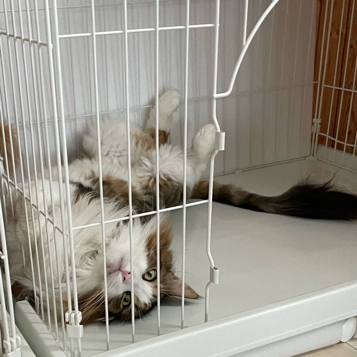 804ca518 9f9d 492c b9d2 75b994f89008 1692475816032