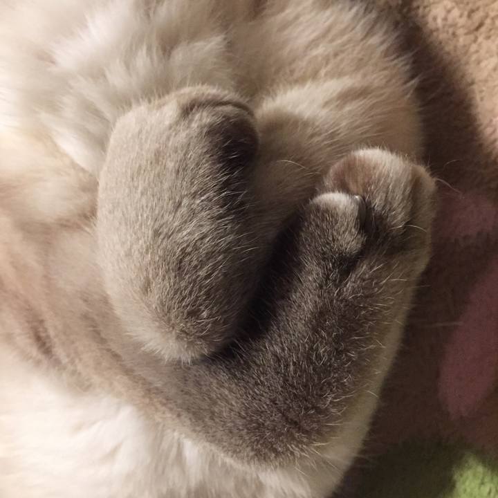 804cafbf 7d52 46d5 b346 d0601feb0705 1573420923264