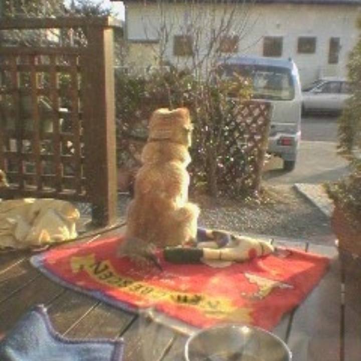 804cc54e a380 4c7a 995a 8ac91ad23917 1603254690030