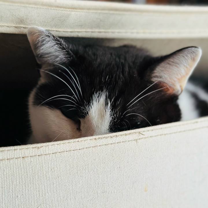 804ccde2 404b 44f5 91b3 c8aece3f4b31 1680916938054