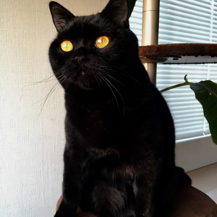 804cf24e 3270 404c 9bd8 2804477279dd 1512684934160