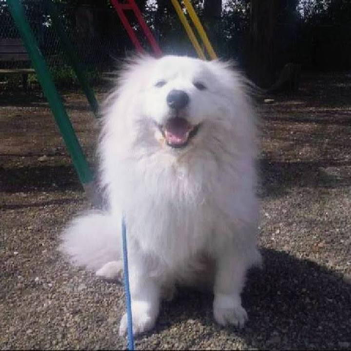 804d2858 f243 4a91 ba60 91a3de70a763 1670581847625