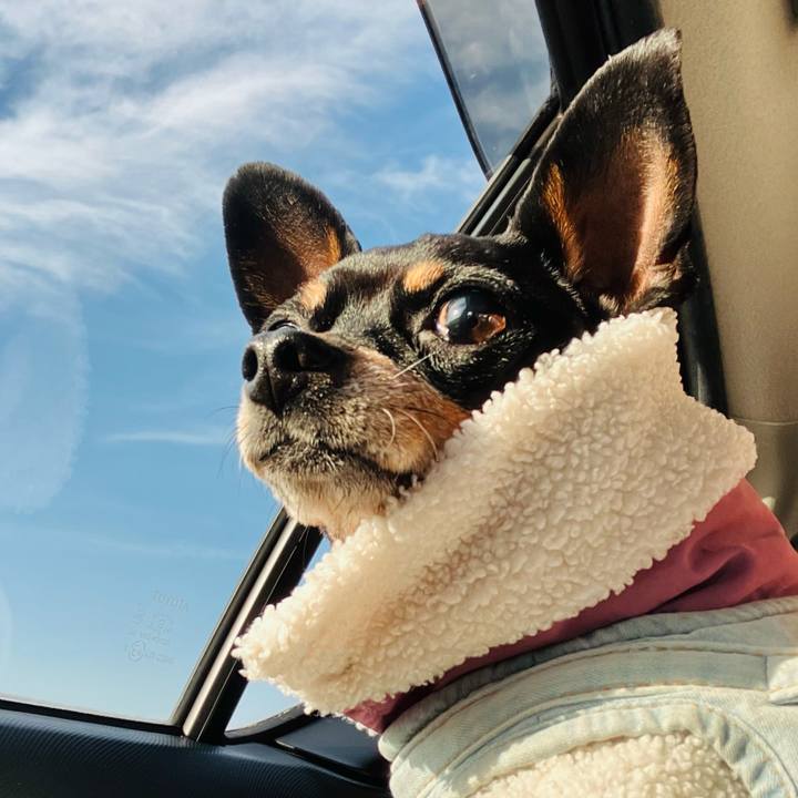 804d3789 7e57 412d bf0c abad32268663 1768652767862