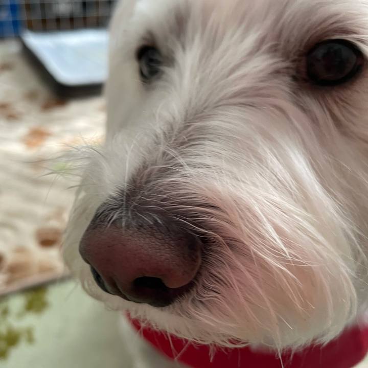 804d6ff3 0cb1 4cf8 a0e3 61e1f4365652 1635915618846