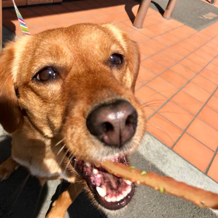 804d9189 ac95 41b9 8735 108e9b2bef1b 1521259245744