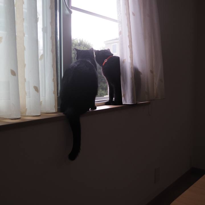 804d9ee7 a36e 4517 a9e4 b7e44577af3c 1537315086111