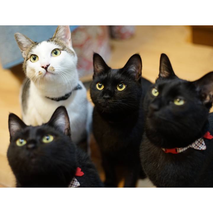 804dab53 8ea3 4d1d 839b de2ea7f515b9 1531754649893