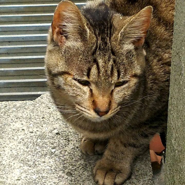 804db889 0cbe 4f55 b8e9 55c0cec8c9a5 1519527497772