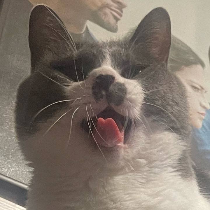 804dbcac 2601 4261 bf63 43ee18bb44ad 1730736404581