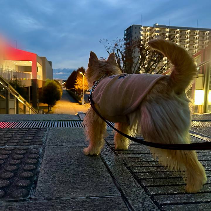 804dc189 e15d 4eae 98d2 b74830896c42 1733904719510