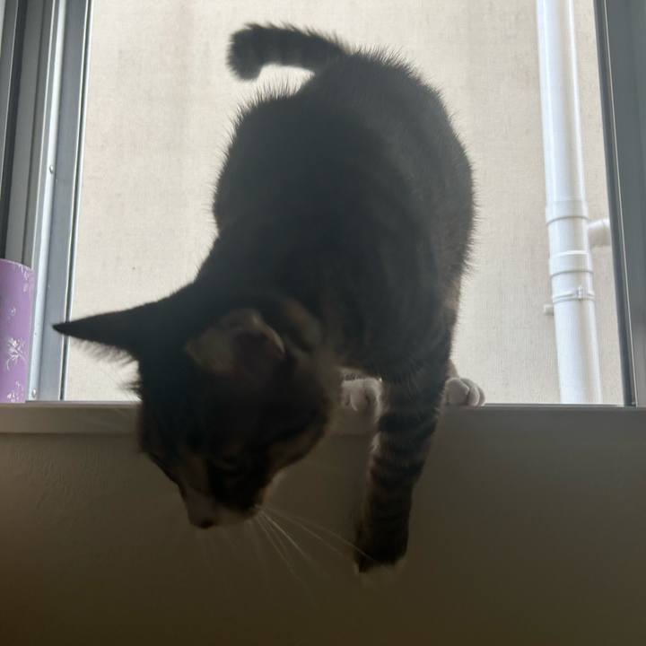 804dc89a fed0 4bff 962d f87ba0810e1f 1759627515568