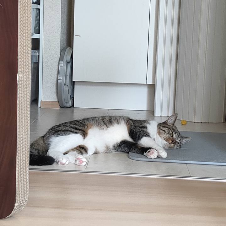 804de76d c0b3 4487 ba1e 0c9a54a39029 1657673919954