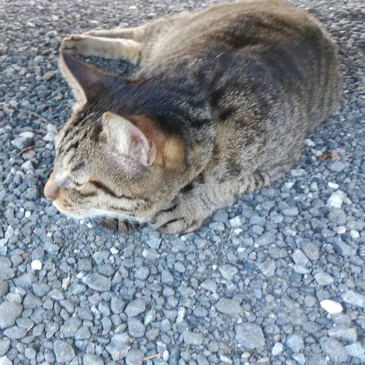 804e2cc2 7c48 4370 8cc4 1acc5490cedd 1599183195683