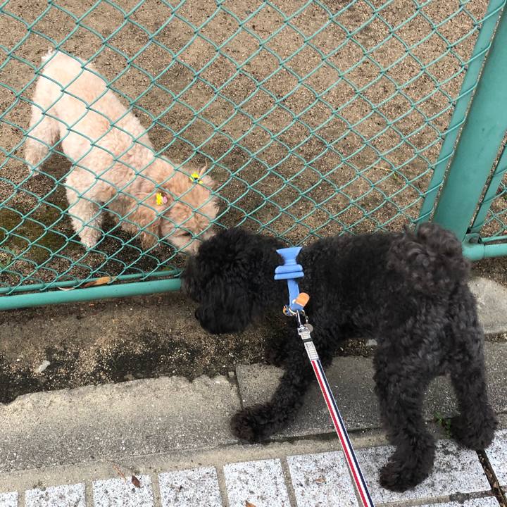 804e5076 9cb1 4ace adbc 421cb5e7e128 1599736944384