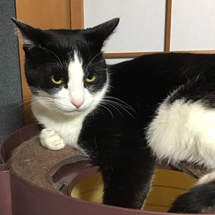 804e5836 e461 41fc bdca bf576a577570 1736158363766