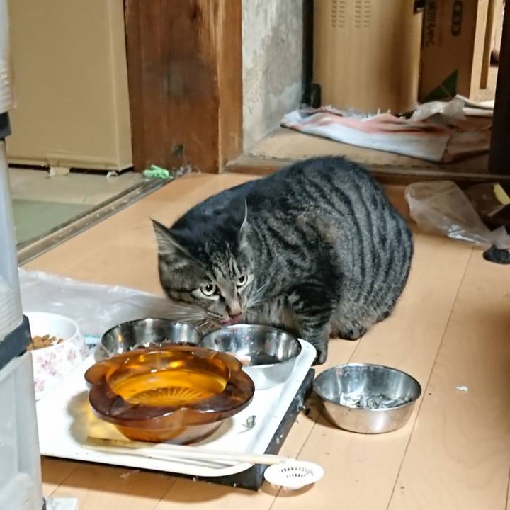 804e6555 83c3 43c1 9c7c 6a6bd3d33a25 1631193444706