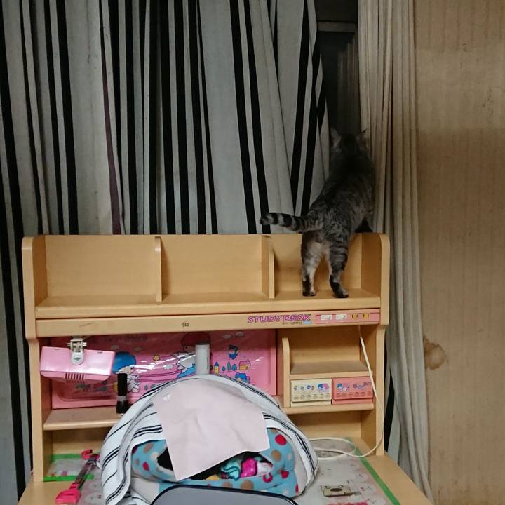 804e7869 d948 4a2a b3bd 73d313fe525d 1522678197384