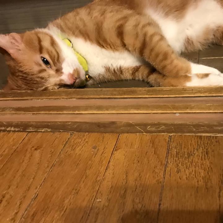 804e9906 1472 41ba a9e0 04ebb0480da3 1531320335265