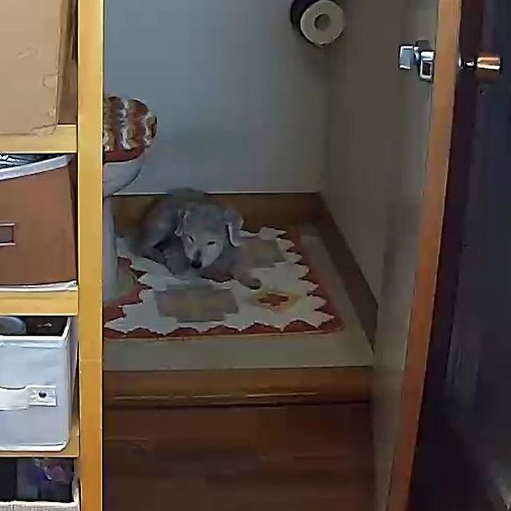 804ea844 ec35 4d6a b343 890abd699a16 1642475783586