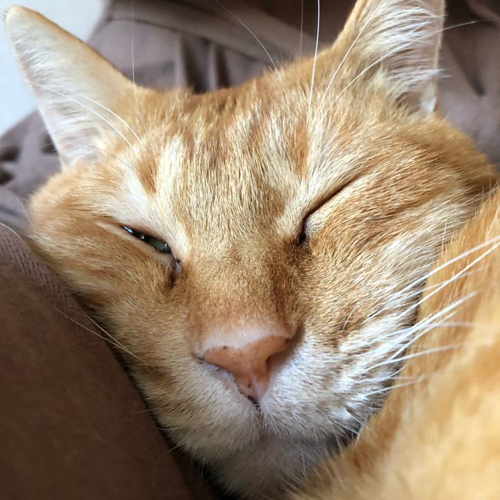 804edfed a7f2 45cb ba17 2d8e0eaab2c4 1603584171285